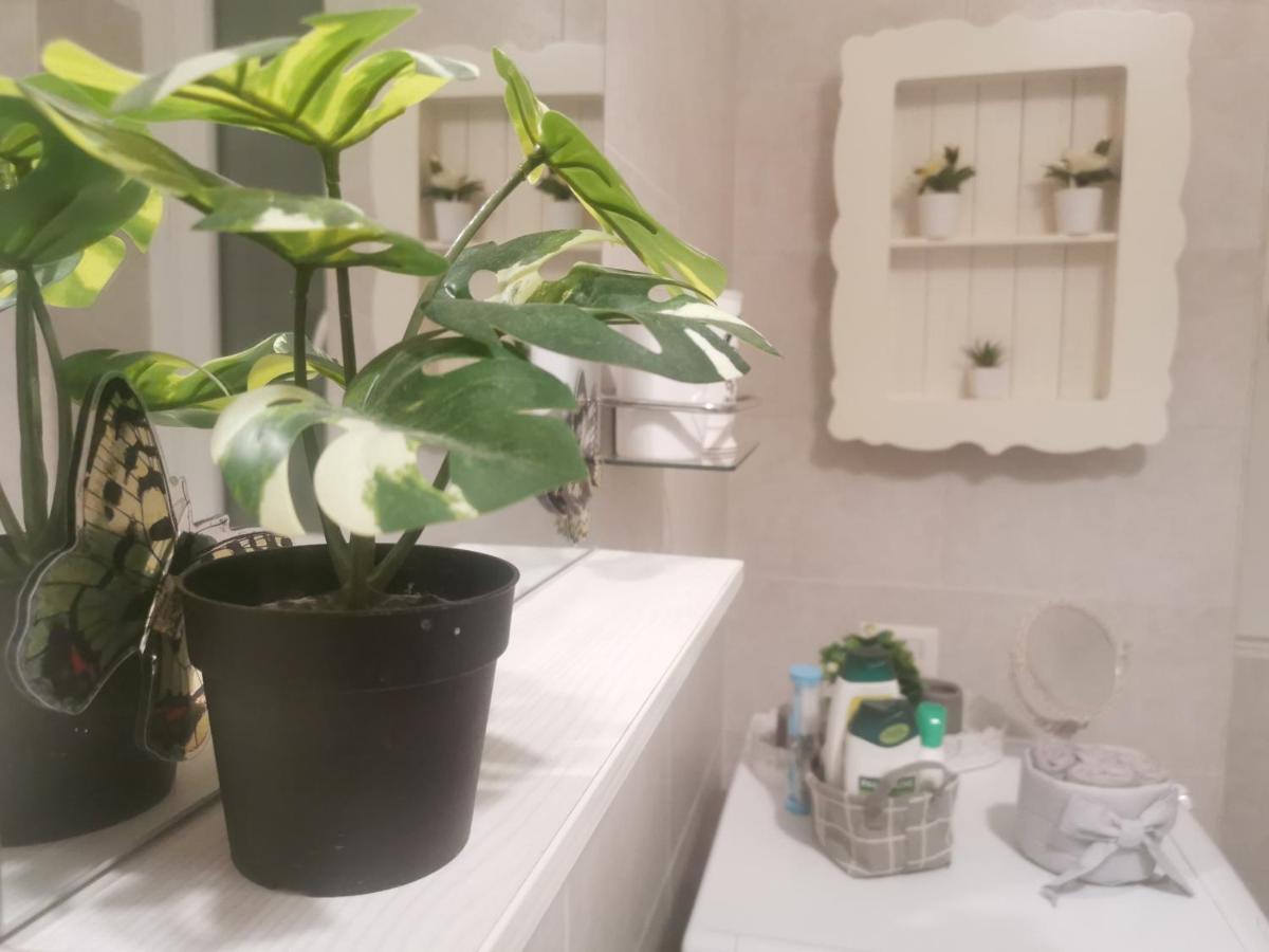 罗马Domus Flavi公寓 外观 照片